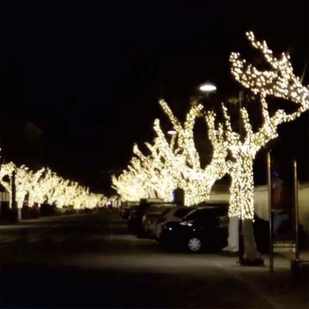 南充亮化工程多少錢一套